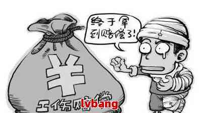 https://shjcdn.lvbang.tech/zb_users/upload/2023/11/20231117045219170016793965881.jpg