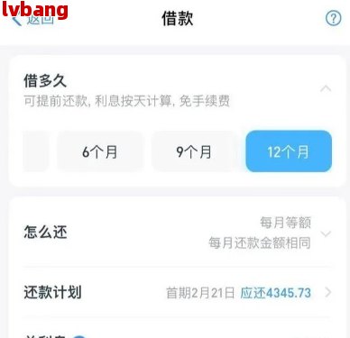 借呗到期后能否继续分期还款？详细流程解析