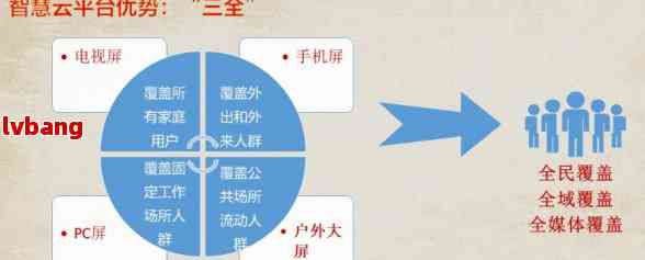 什么是平台，探索平台的定义与特点