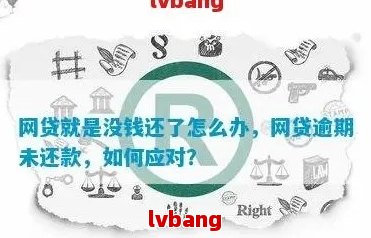 网贷办钱平台有哪些_网贷平台还不了钱怎么办_网贷办钱平台可靠吗