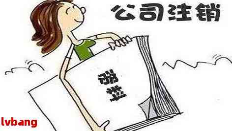 注册公司然后注销有什么影响