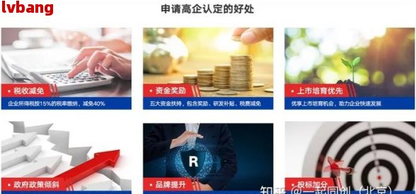 b33体育入口高新企业申办主代办人选择与成本费用(图1)