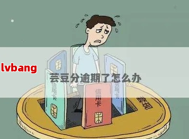 芸豆分借款逾期了怎么办
