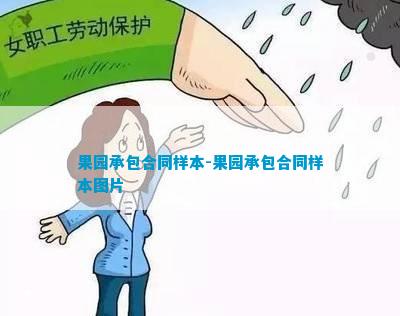 新澳门游戏果园承包合同补充协议书怎么写(图2)