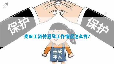 麦田工资待遇及工作情况怎么样？