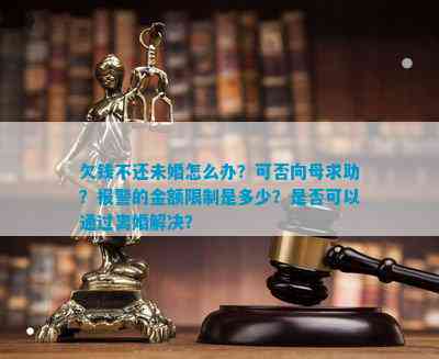 欠钱不还未婚怎么办？可否向母求助？报警的金额限制是多少？是不