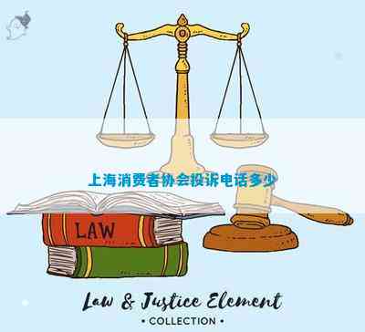 上海消费者协会投诉多少