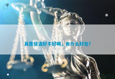 真露烧酒好不好喝，有什么好处？