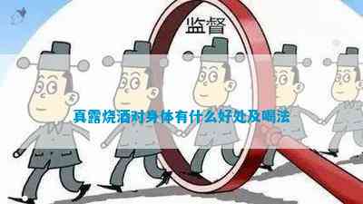 真露烧酒对身体有什么好处及喝法