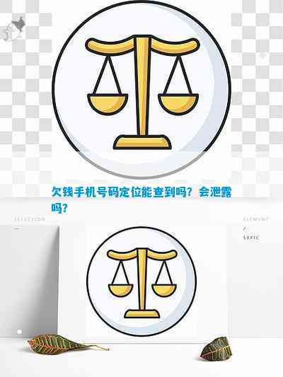 澳门第一娱乐娱城官网欠钱手机号码定位能查到吗？会泄露吗？(图2)