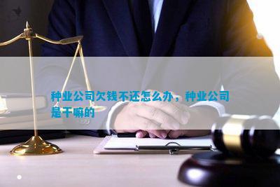 AG凯发k8真人娱乐|洛克王国刷绝版宠物挂|种业公司欠钱不还怎么办种业公司是干嘛