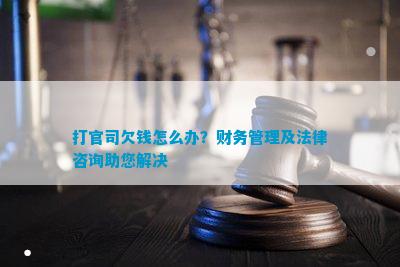 GA黄金甲打官司欠钱怎么办？财务管理及法律咨询助您解决(图2)