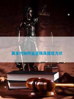 翼支付怎么付款_翼支付收付款_翼支付翼支付