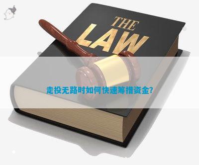 澳门威尼克斯人网站看电视剧走投无路时如何快速筹措资金？